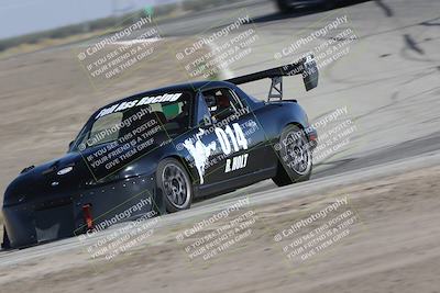 media/Oct-21-2023-Speed Ventures (Sat) [[ddf75163c5]]/Green/Grapvine/